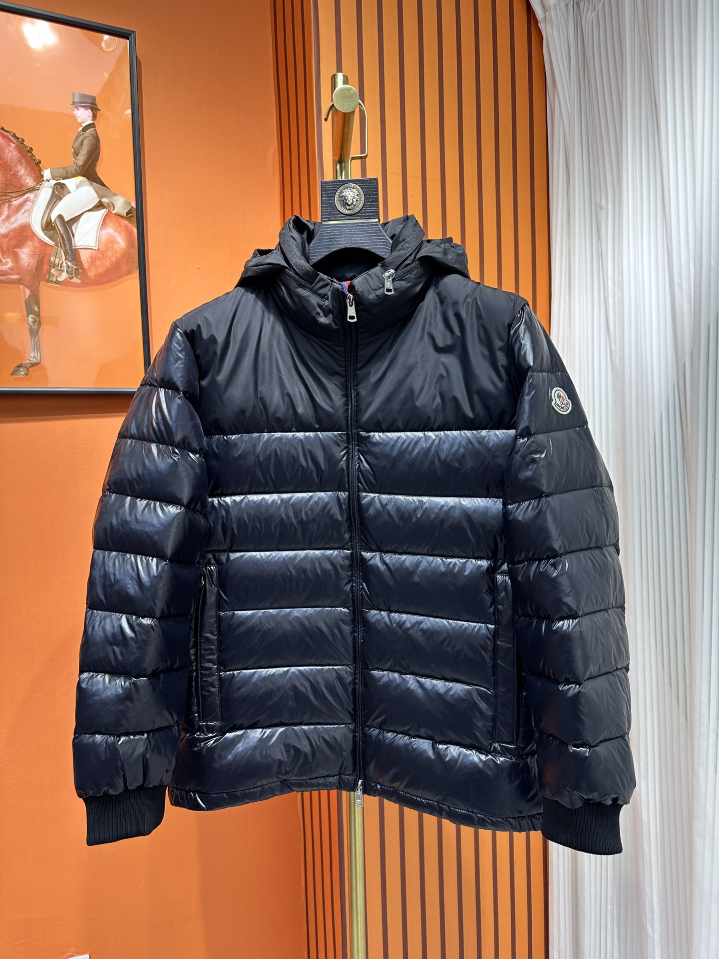 Moncler Down Jackets